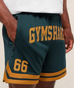 Campus Mesh Shorts