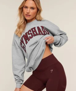 Collegiate Graphic Crew Neck Pullover