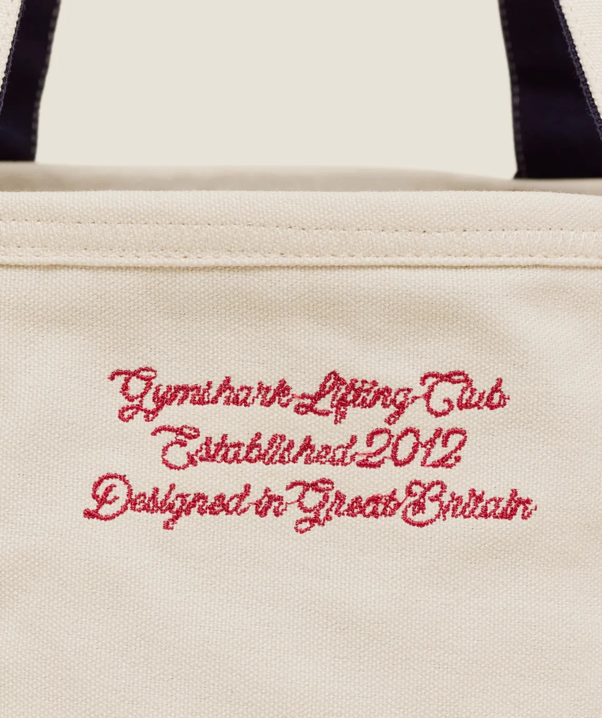 Collegiate Mini Tote Bag
