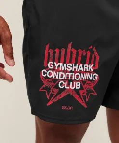 Hybrid Graphic 7