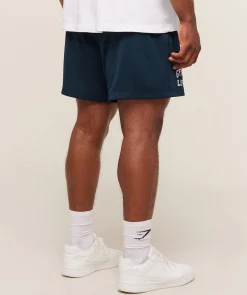 Lifting Mesh 5
