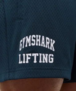 Lifting Mesh 5