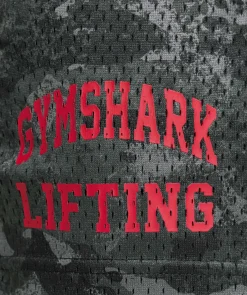 Lifting Mesh 5
