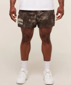 Lifting Mesh 5