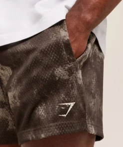 Lifting Mesh 5