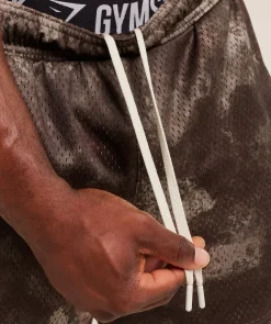 Lifting Mesh 5