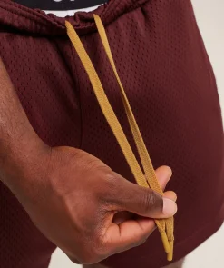 Lifting Mesh 5