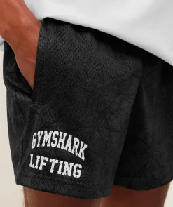 Lifting Mesh 5