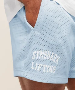 Lifting Mesh 5