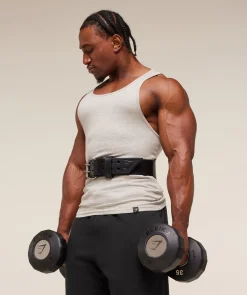 Tapered Double Prong Lifting Belt