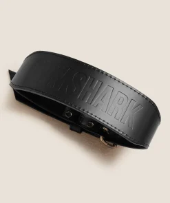 Tapered Double Prong Lifting Belt